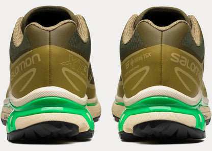 Salomon XT-6 Dried Herb