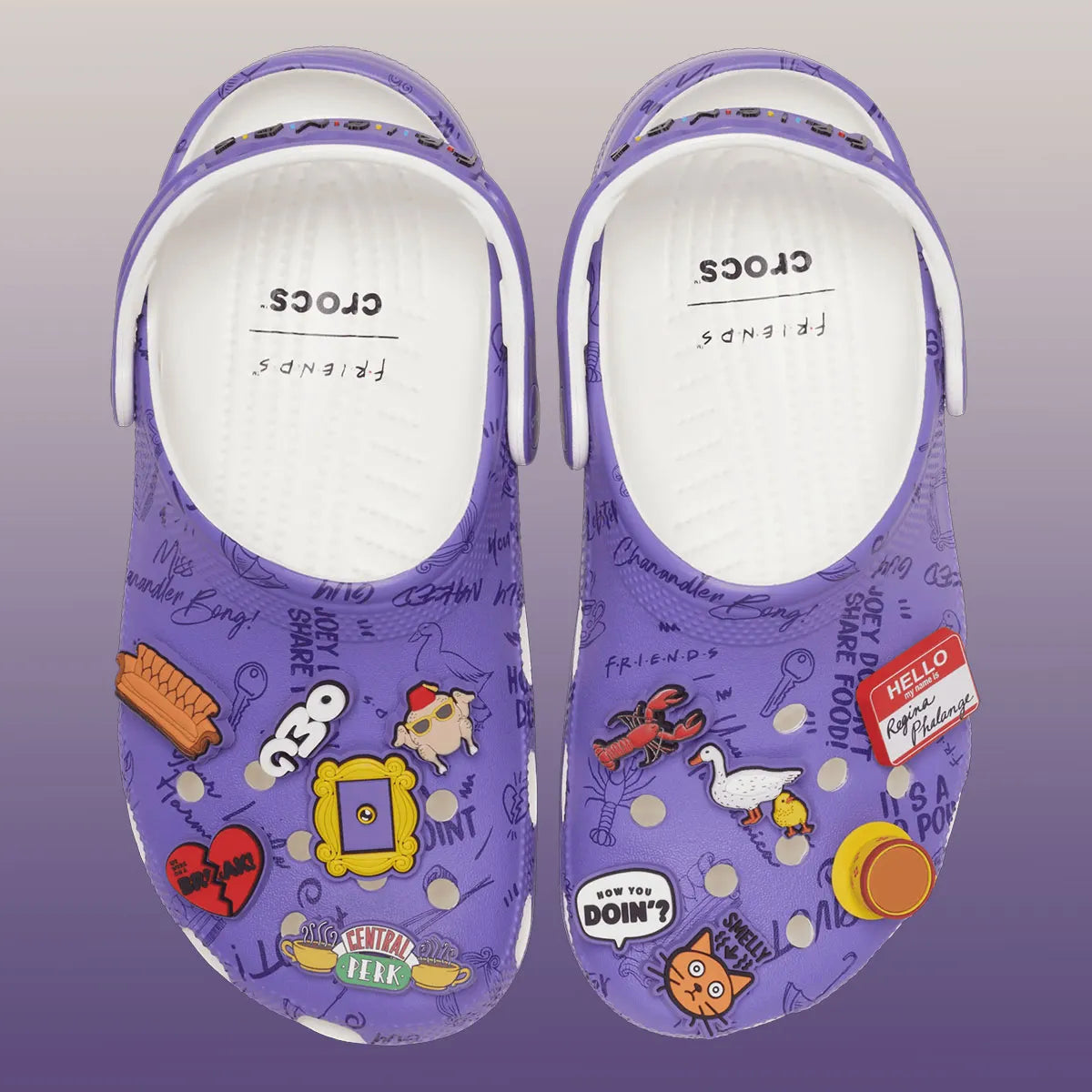 Crocs Classic Clog Friends